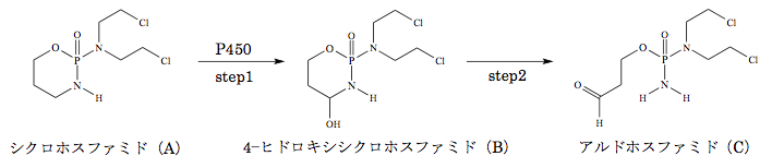 解説画像